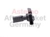 Mass Air Flow Sensor