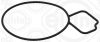 Gasket, water pump Opel