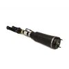 Air Suspension Strut MB R-Class esi 06-13 2513203013