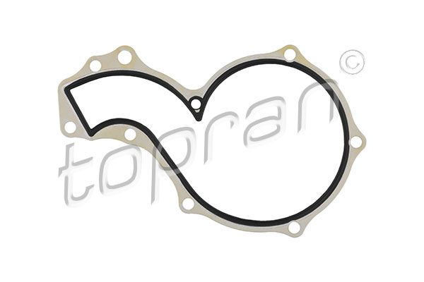 Gasket, water pump VAG