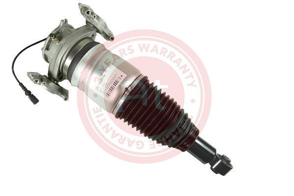 Air Suspension Strut VAG Touareg, Cayenne  (2010 - )