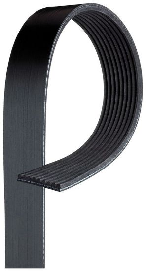 V-Ribbed Belt
