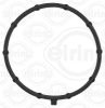 Gasket, vacuum pump Ford USA