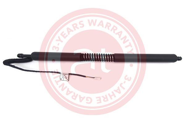 Electric Motor, tailgate BMW