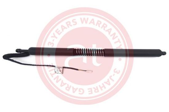 Electric Motor, tailgate BMW