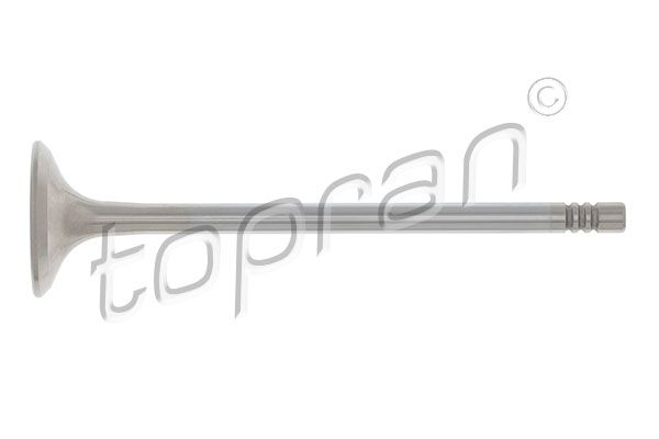 Exhaust Valve Opel, General Motors