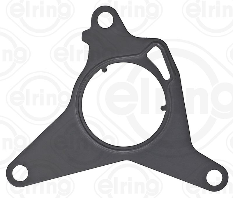 Gasket, vacuum pump Fiat