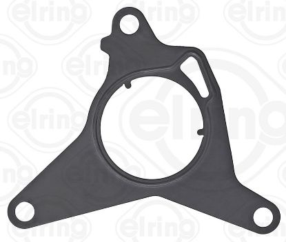 Gasket, vacuum pump Fiat