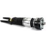 Air Suspension Strut Front Left Eibach Air Strut - 09-13 Porsche Panam