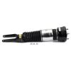 Air Suspension Strut Front Left Eibach Air Strut - 09-13 Porsche Panam