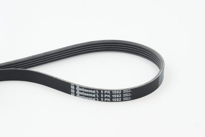 V-Ribbed Belt VAG - 028 903 137AR