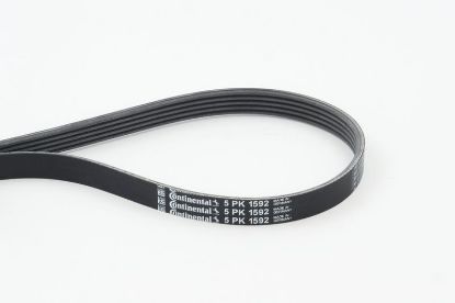 V-Ribbed Belt VAG - 028 903 137AR