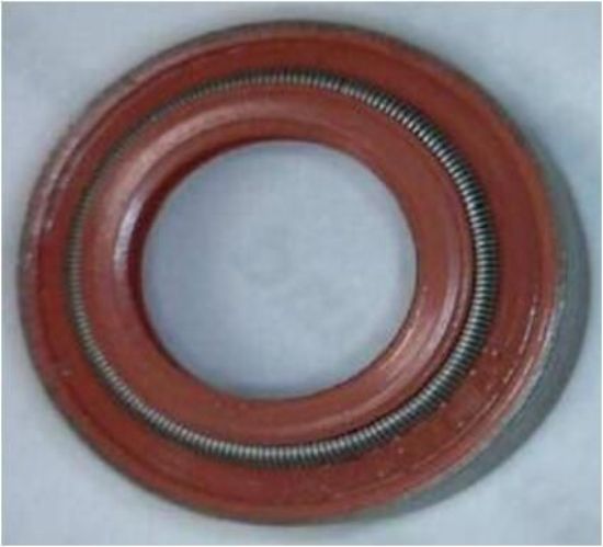 Seal Ring, valve stem Iveco