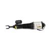Air Suspension Strut VW Phaeton 04-06 esi parem 3D0616040