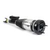 Air Suspension Strut