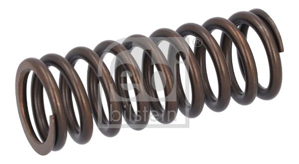 Valve Spring DAF 1783 648