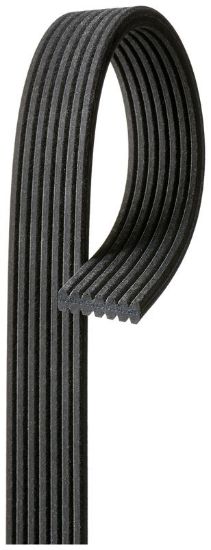 V-Ribbed Belt
