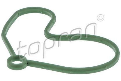 Gasket, vacuum pump