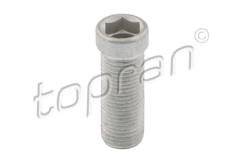 Screw, Injection nozzle holder
