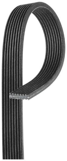 V-Ribbed Belt