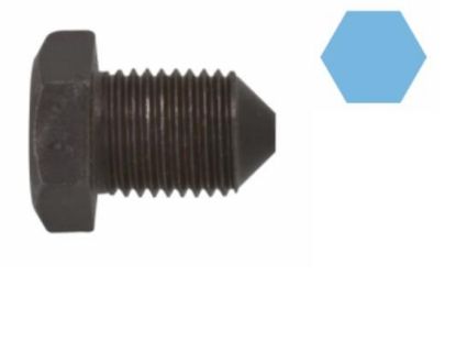 Screw Plug, oil sump VAG