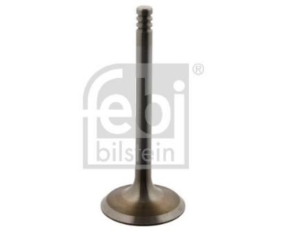 Intake Valve VW-Audi 048 109 601 E
