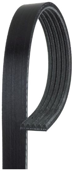 V-Ribbed Belt AUDI 07K 145 933 T