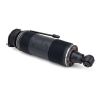 Air Suspension Strut MB SL-Class (R230) 07-12 2303205513