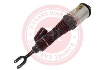 Air Suspension Strut BENTLEY 3W5616040L