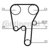 Timing Belt Kit CT 981 K1