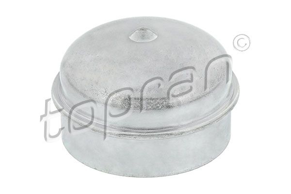 Protection Lid, wheel hub Opel, General Motors