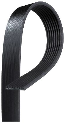 V-Ribbed Belt FORD USA F-Series