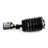 Air Suspension Strut