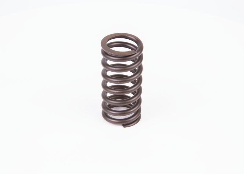 Spring, throttle control linkage Diesel Spare Parts (convention