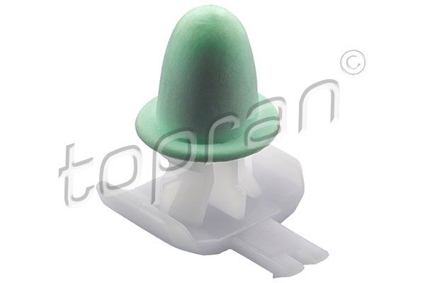 Clip, trim/protective strip PASSAT (3B2), PASSAT Variant (3B6)