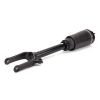 Air Suspension Strut MB GL 06-12