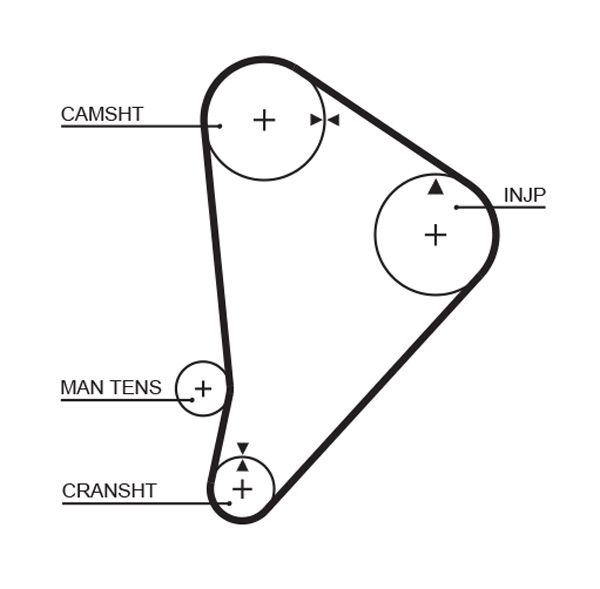 Timing Belt Toyota Cressida - ( L18523 )
