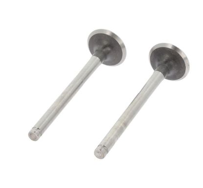 Exhaust Valve RENAU 7700696117