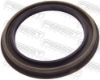 Repair Kit, steering knuckle NISSAN 40579-2F000