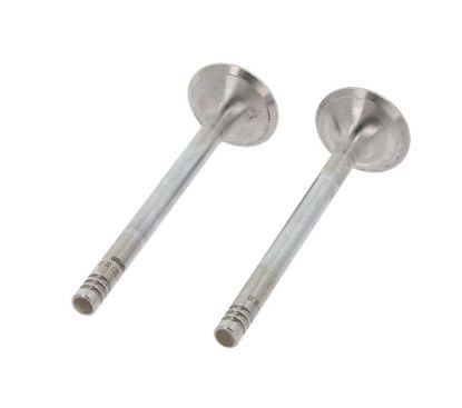 Exhaust Valve FORD 1078429