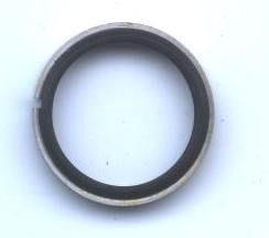 Seal Ring VOLVO NKW