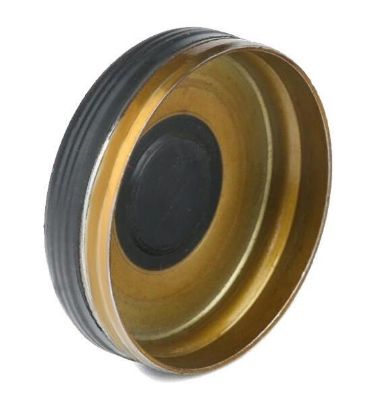 Plug, rocker arm shaft mounting bore