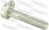 Camber Correction Screw SUBARU 901700154