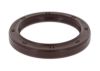 Shaft Seal, crankshaft CASE 218375A1