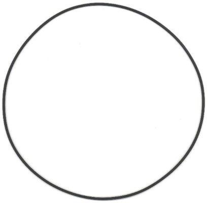 Seal Ring, cylinder liner DAIMLER NKW