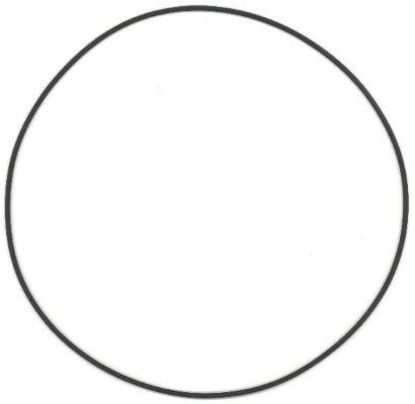 Seal Ring, cylinder liner DAIMLER NKW