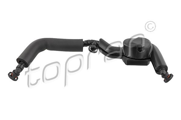 Hose, cylinder head cover ventilation BMW/MINI