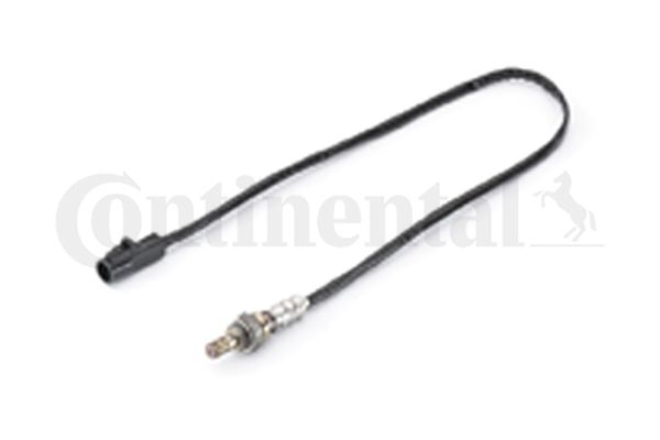 Oxygen Sensor