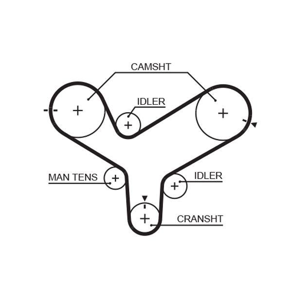 Timing Belt Mazda MPV 3.0 - ( L18692 )
