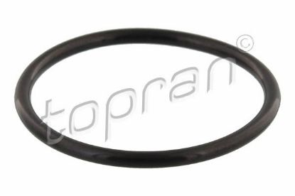 Seal, thermostat VAG